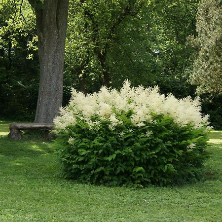 Landgasthof Em Lade Dahlem  Εξωτερικό φωτογραφία