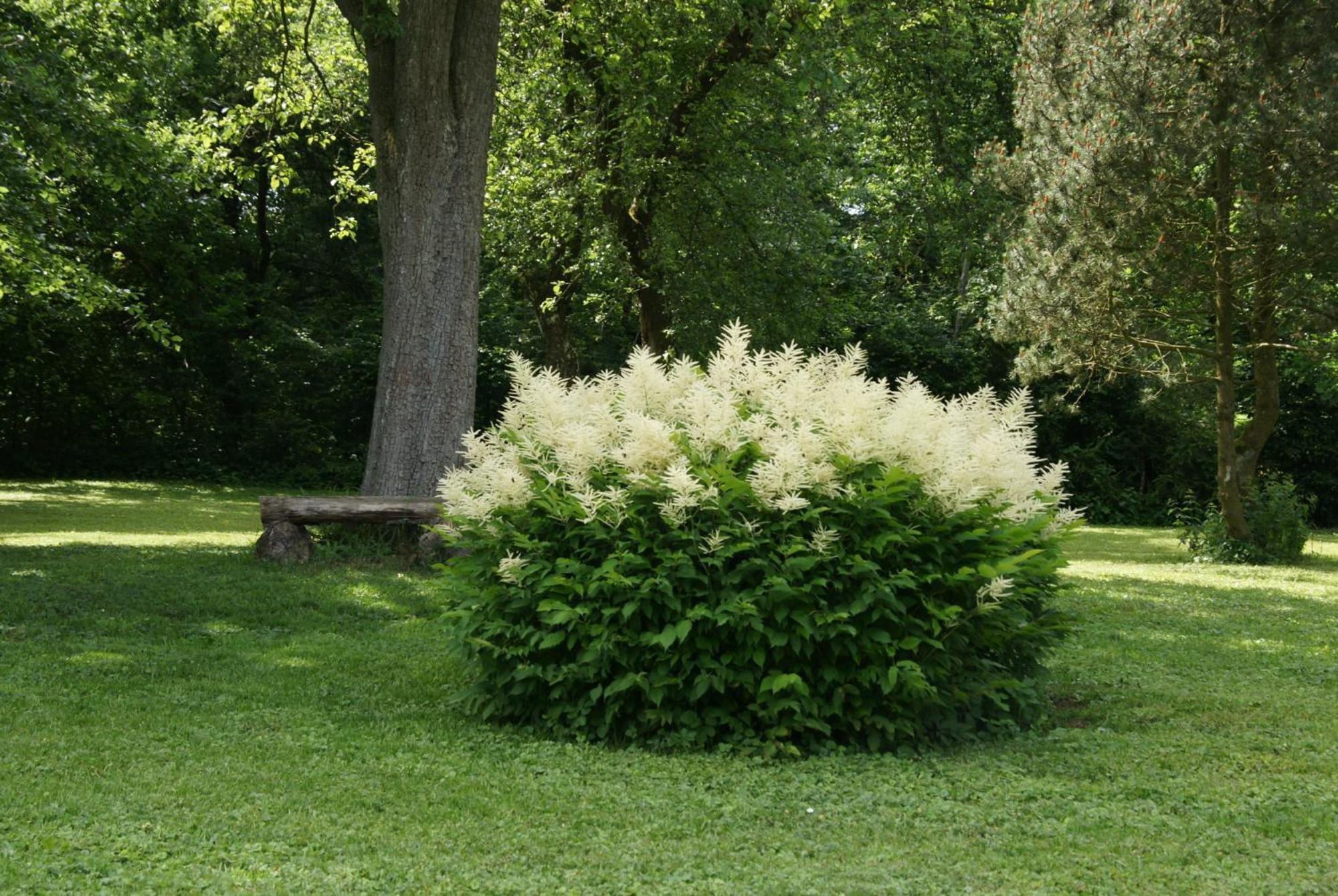 Landgasthof Em Lade Dahlem  Εξωτερικό φωτογραφία